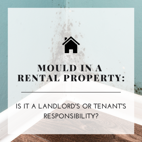 Mould In A Rental Property: Is It A Landlord's Or Tenant's Responsibility?