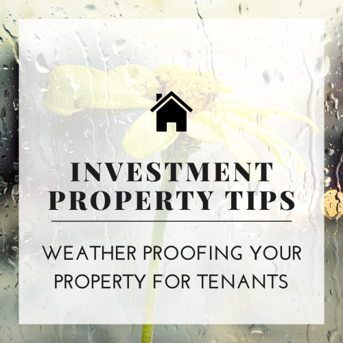 Tips & Advice Rentals