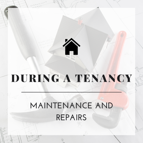 During A Tenancy - Maintenance And Repairs